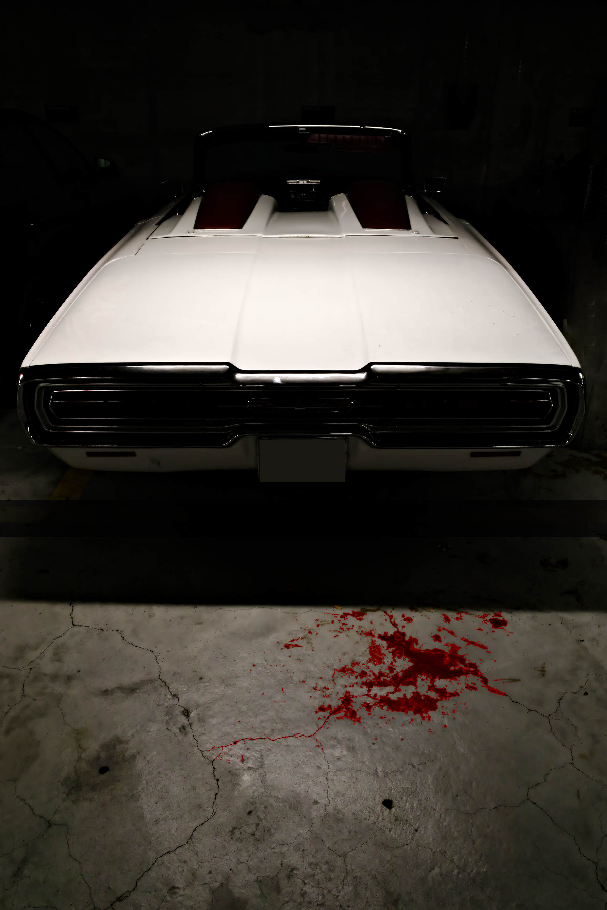1966 Ford Thunderbird convertible, The Writer's Blood