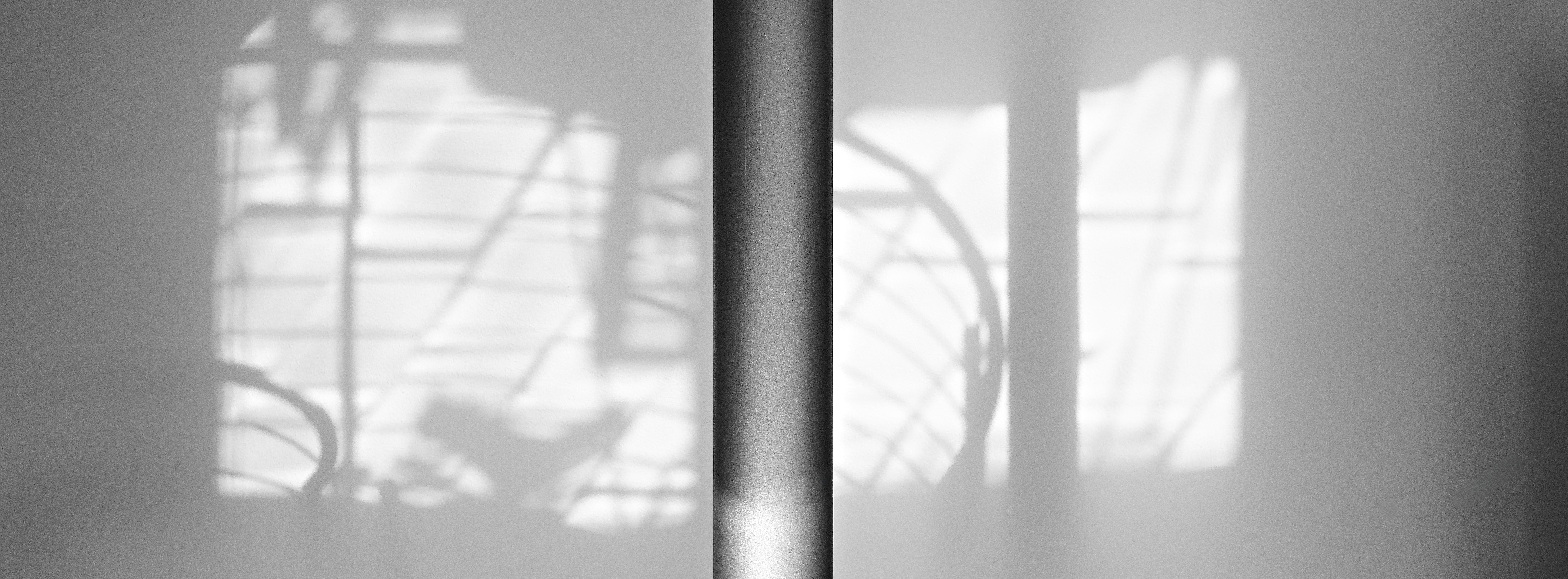 fleeting reflections of light and shadows