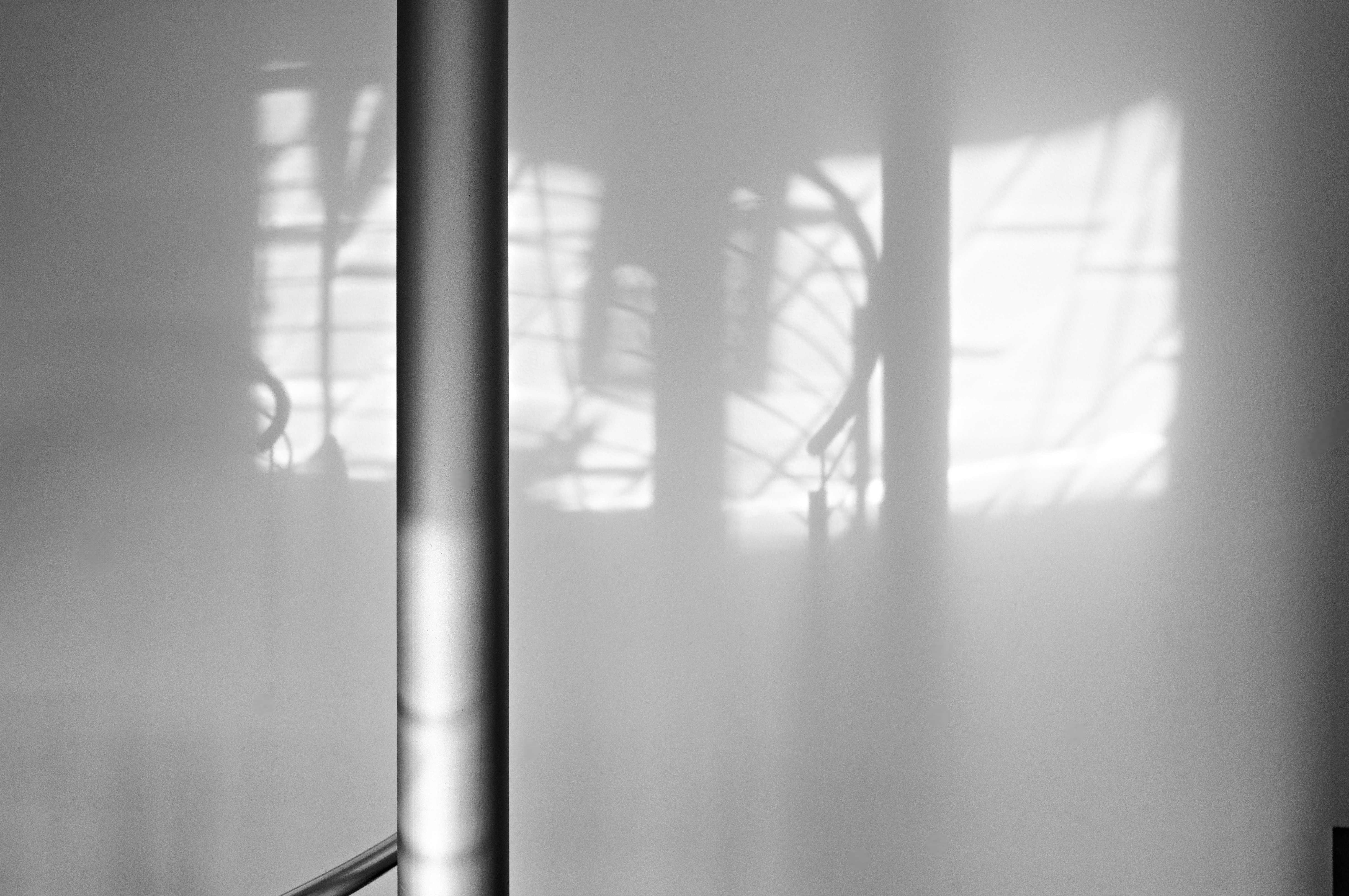 fleeting reflections of light and shadows