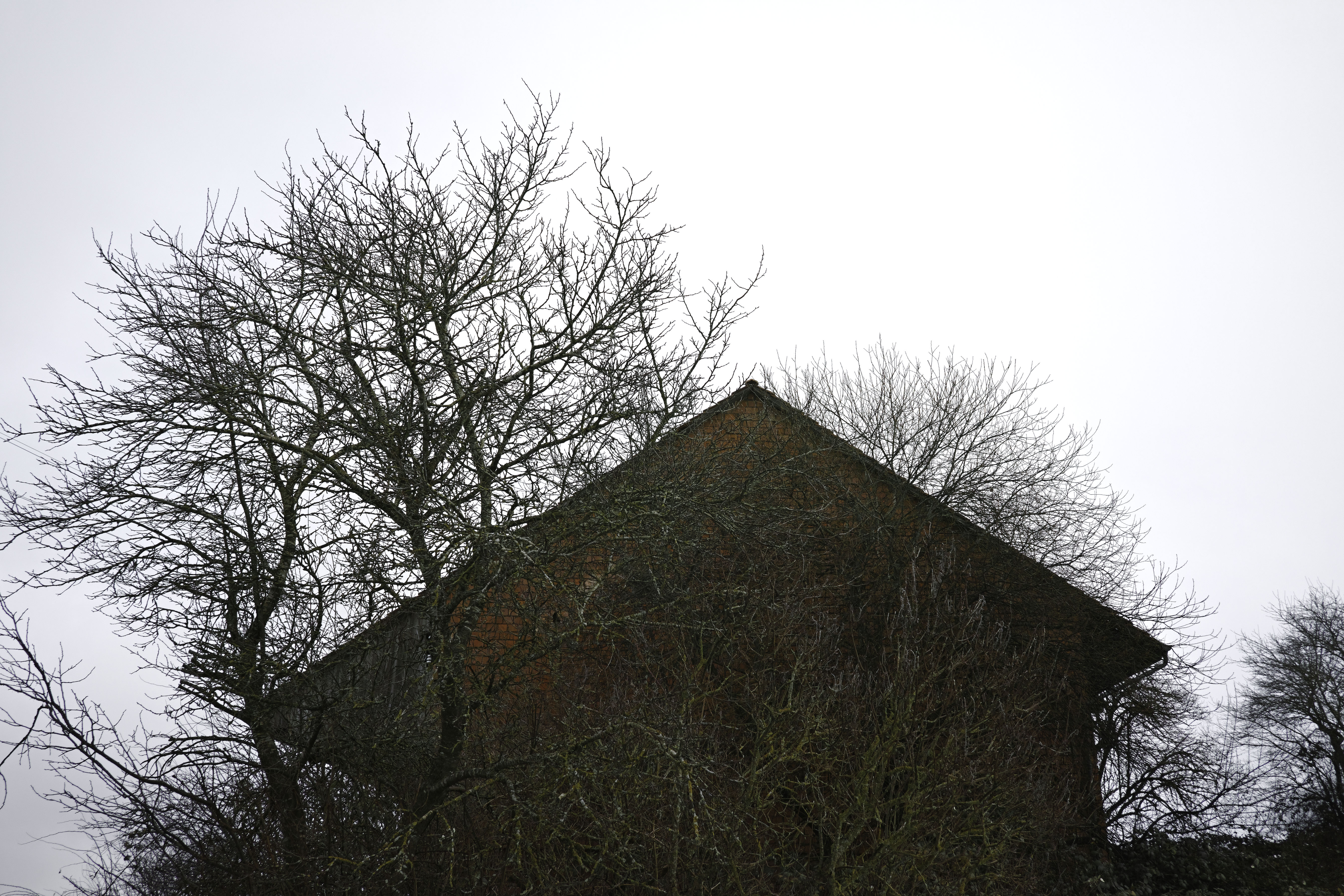 fragile old barn